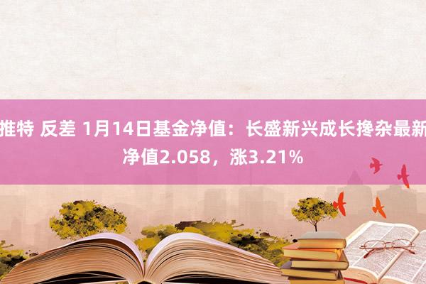 推特 反差 1月14日基金净值：长盛新兴成长搀杂最新净值2.058，涨3.21%