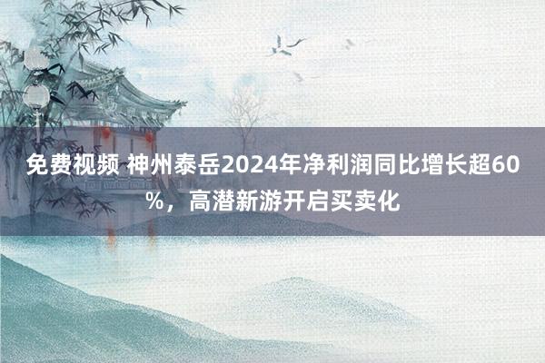 免费视频 神州泰岳2024年净利润同比增长超60%，高潜新游开启买卖化